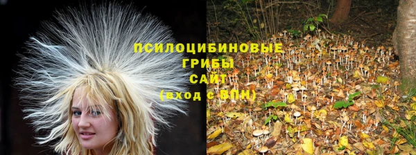 сатива Алексеевка