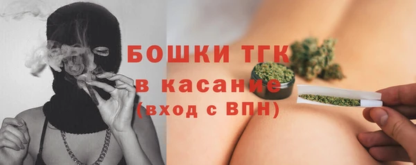 ешки Ельня