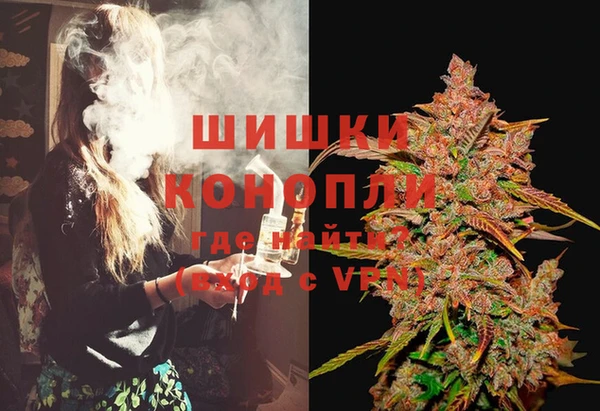 сатива Алексеевка