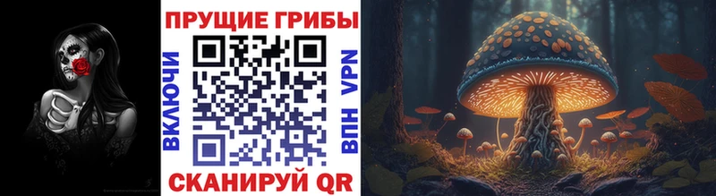 наркотики  kraken зеркало  Галлюциногенные грибы ЛСД  Юрьев-Польский 